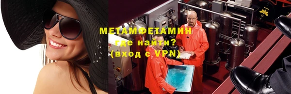 прущие грибы Богородск