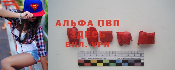 прущие грибы Богородск