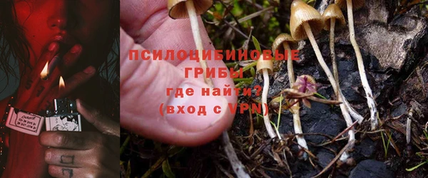 хмурый Богородицк