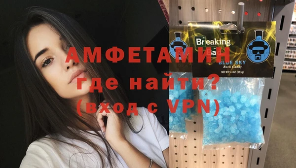 стафф Богданович