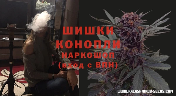 прущие грибы Богородск